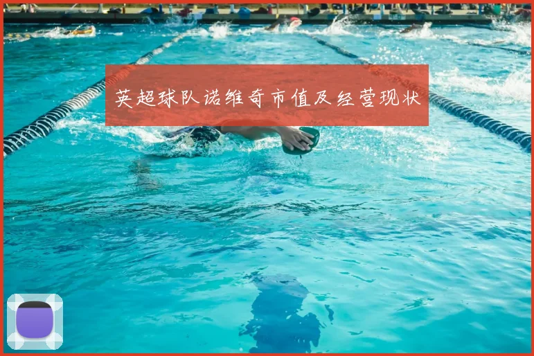 英超球队诺维奇市值及经营现状