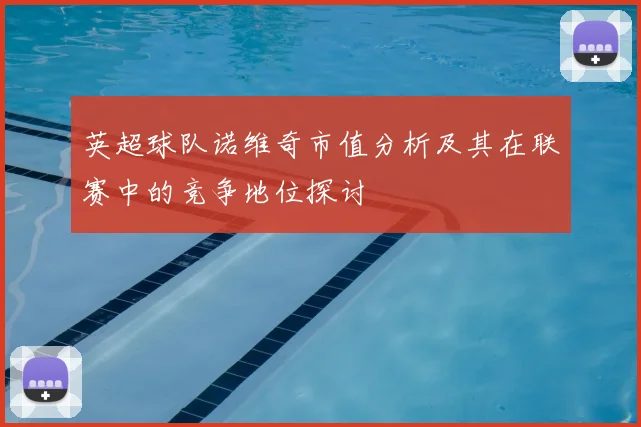 英超球队诺维奇市值分析及其在联赛中的竞争地位探讨